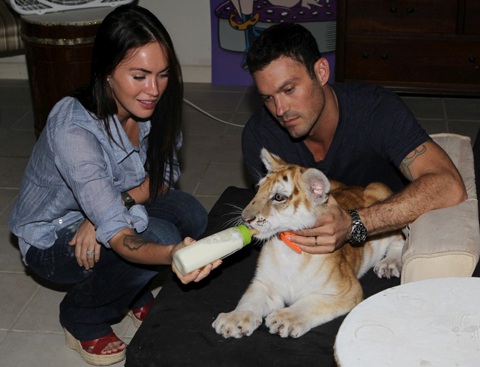 Megan Fox chơi với hổ - 10 Megan Fox chơi với hổ - 10