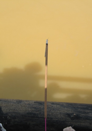 Lễ cầu siêu cho 20 nạn nhân mất tích cùng xe khách  - 5