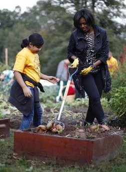 Đệ nhất phu nhân Mỹ thu hoạch khoai - 4