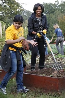 Đệ nhất phu nhân Mỹ thu hoạch khoai - 8