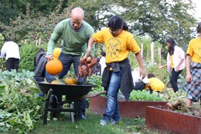 Đệ nhất phu nhân Mỹ thu hoạch khoai - 10