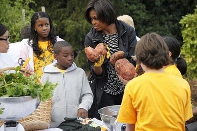 Đệ nhất phu nhân Mỹ thu hoạch khoai - 20