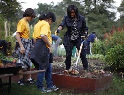 Đệ nhất phu nhân Mỹ thu hoạch khoai - 2