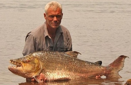 Peguei um peixe gigante com dentes afiados - 2