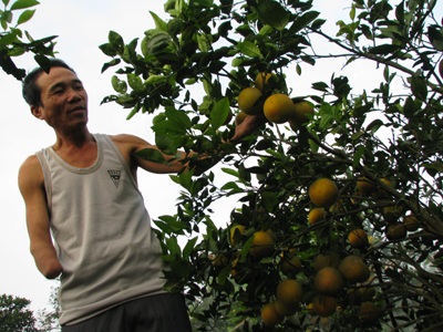 Ba yếu tố quyết định để đất nước phát triển nhanh và bền vững - 1