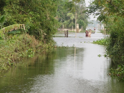 Tận mắt chứng kiến nơi lũ đi qua - 13