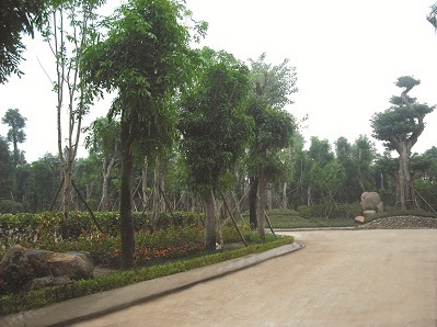 BĐS Hà Nội lộ rõ hình thái kinh doanh mới - 1 BĐS Hà Nội lộ rõ hình thái kinh doanh mới - 1