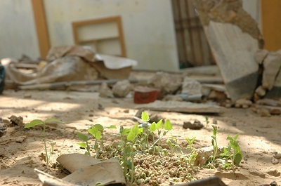 Người với người sống để thương nhau! - 6