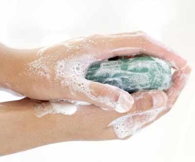 Mẹo trị vết muỗi đốt - 1 Mẹo trị vết muỗi đốt - 1