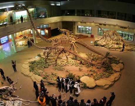 Người đẹp Hoa hậu Quốc tế thăm viện nhi và bảo tàng khủng long - 25