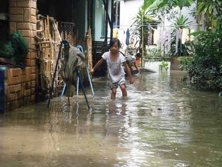 800 tỉ đồng + quản lý kém = vỡ đê bao - 1 800 tỉ đồng + quản lý kém = vỡ đê bao - 1