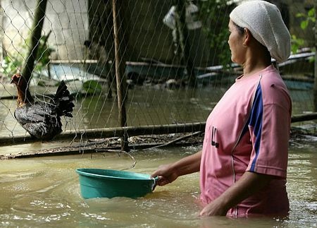 Miền nam Thái Lan lao đao vì lũ - 12