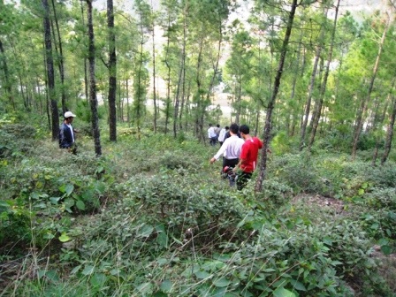 Truy lùng 4 phạm nhân trốn trại trong đêm - 2