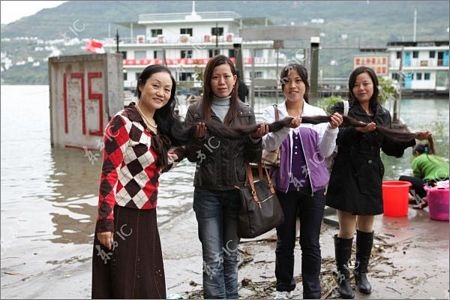 Người phụ nữ tóc dài gần 3m - 4