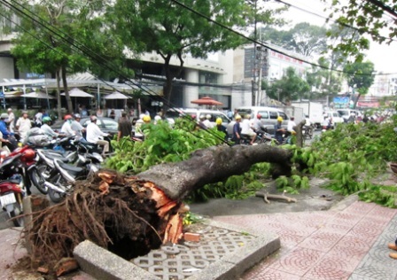 Cháy tiệm bánh, gần 20 công nhân “suýt” gặp nạn - 2 Cháy tiệm bánh, gần 20 công nhân “suýt” gặp nạn - 2