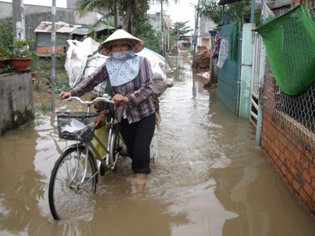 Nước mắt trôi theo triều cường - 1