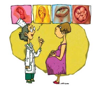 Tìm hiểu về ngôi thai - 1 Tìm hiểu về ngôi thai - 1