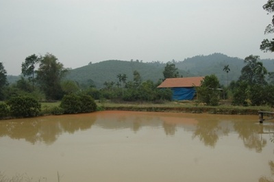 Dân hoang mang sau vụ hố sâu nuốt chửng ao cá - 4