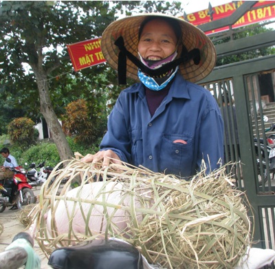 Tặng 250 con lợn cho bà sau lũ - 2