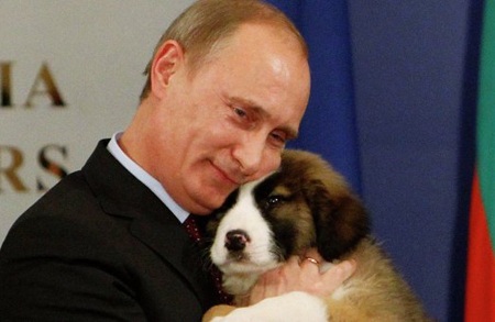 Thủ tướng Nga Putin được tặng chó xinh - 1 Thủ tướng Nga Putin được tặng chó xinh - 1