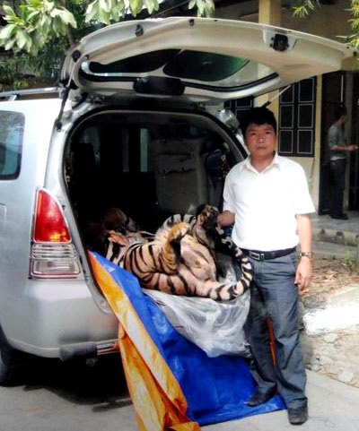 Phá vụ vận chuyển hổ ướp nguyên con từ nước ngoài về - 1