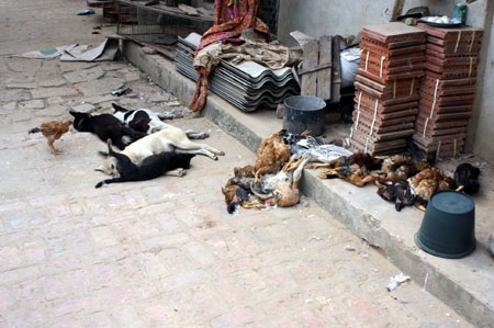 Hà Nội: Ngộ độc khí lò gạch, 3 người tử vong - 2 Hà Nội: Ngộ độc khí lò gạch, 3 người tử vong - 2