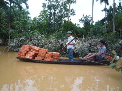 Sự cần thiết phải xây nhà vượt lũ cho dân - 5