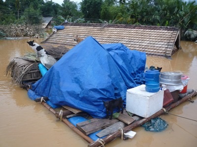 Sự cần thiết phải xây nhà vượt lũ cho dân - 6