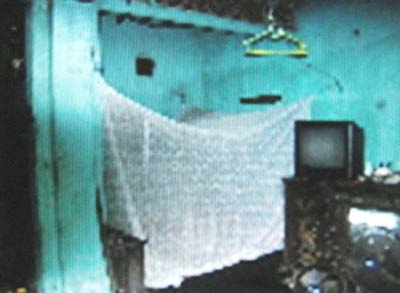 “Côn trùng lạ” gây ngứa hoàn toàn vô hại với con người - 3 “Côn trùng lạ” gây ngứa hoàn toàn vô hại với con người - 3