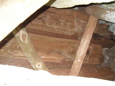 Bí ẩn những quan tài cổ trên đỉnh Pha Quen - 4