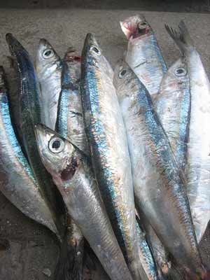 Bí kíp ăn uống ngừa loãng xương - 2