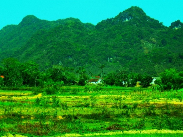 Một bản vùng cao có 80 thầy, cô giáo - 2