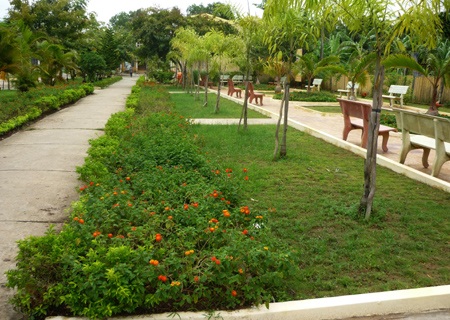 Thăm trường tiểu học thân thiện vùng ven đô - 1 Thăm trường tiểu học thân thiện vùng ven đô - 1