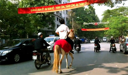 Video: “Hoàng tử” cưỡi ngựa trên đường phố Hà Nội - 1