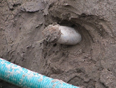 Phát hiện thêm nhiều vật thể nghi là bom trên sà lan  - 4