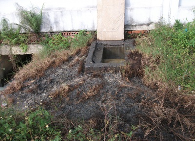 Sabeco Sông Lam gây ô nhiễm vượt 49 lần cho phép - 1