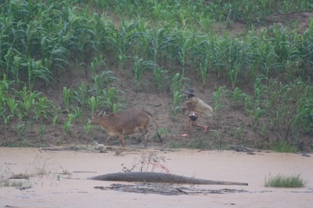 Xót lòng trẻ vùng biên - 10