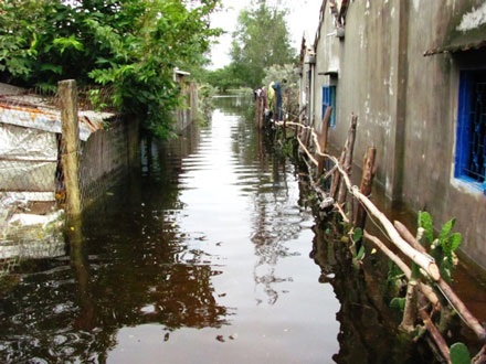 Gần một tháng sau mưa lũ, nhiều nơi vẫn ngập lụt, bị cô lập… - 11 Gần một tháng sau mưa lũ, nhiều nơi vẫn ngập lụt, bị cô lập… - 11