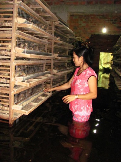 Gần một tháng sau mưa lũ, nhiều nơi vẫn ngập lụt, bị cô lập… - 14 Gần một tháng sau mưa lũ, nhiều nơi vẫn ngập lụt, bị cô lập… - 14