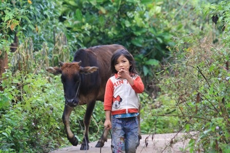 Xót lòng trẻ vùng biên - 7
