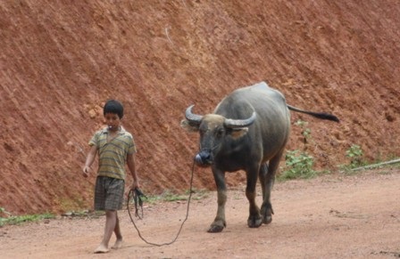 Xót lòng trẻ vùng biên - 8