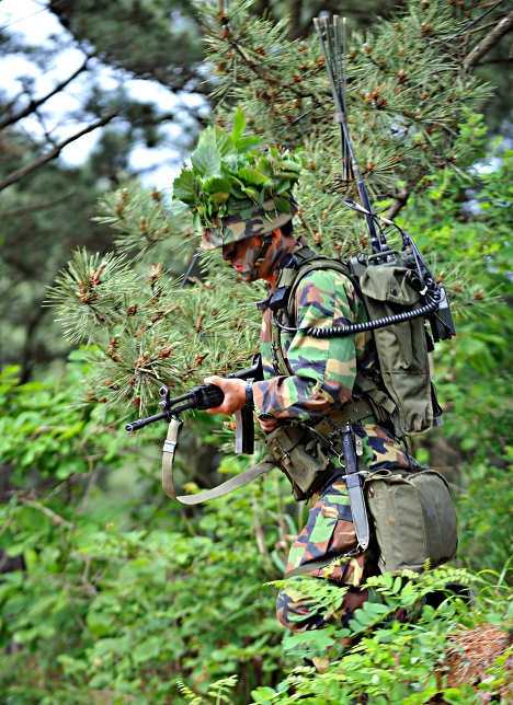 Đôi nét về kho vũ khí của Hàn Quốc - 3