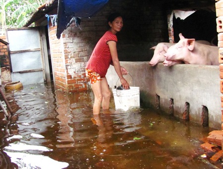 Gần một tháng sau mưa lũ, nhiều nơi vẫn ngập lụt, bị cô lập… - 8 Gần một tháng sau mưa lũ, nhiều nơi vẫn ngập lụt, bị cô lập… - 8