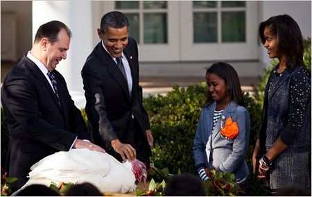 Tổng thống Obama “ân xá” cho gà tây - 8