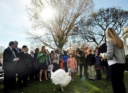 Tổng thống Obama “ân xá” cho gà tây - 3