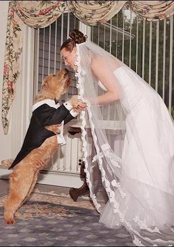 Những phong tục cưới kỳ lạ nhất thế giới - 1