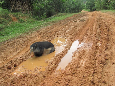 Những cung đường mới nhìn đã… khiếp - 11 Những cung đường mới nhìn đã… khiếp - 11