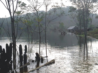 Tiếng kêu cứu từ hồ Ba Cơi  - 3