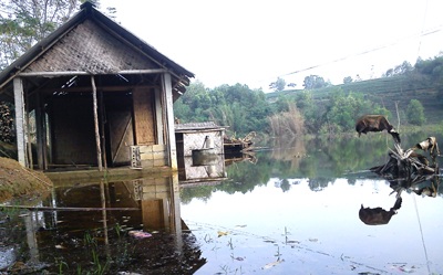 Tiếng kêu cứu từ hồ Ba Cơi  - 8