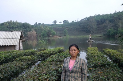 Tiếng kêu cứu từ hồ Ba Cơi  - 1